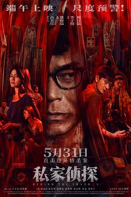 私家侦探封面图