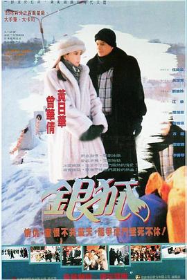 银狐1993[电影解说]封面图