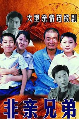 非亲兄弟205[电影解说]封面图