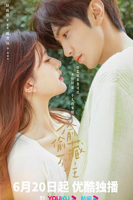 偷偷藏不住[电影解说]封面图