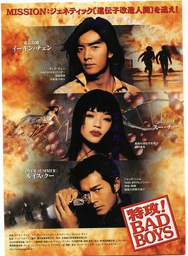 坏小子特攻封面图