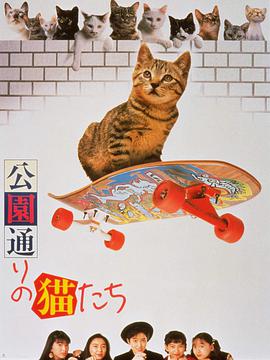公园路的猫们封面图